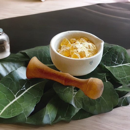 Pine Resin Guide Blog Jenny Joys Soap