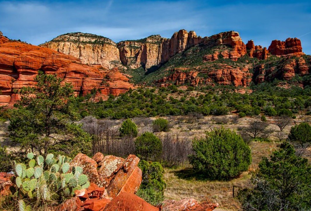 Pinon Pine Debris Free Resin