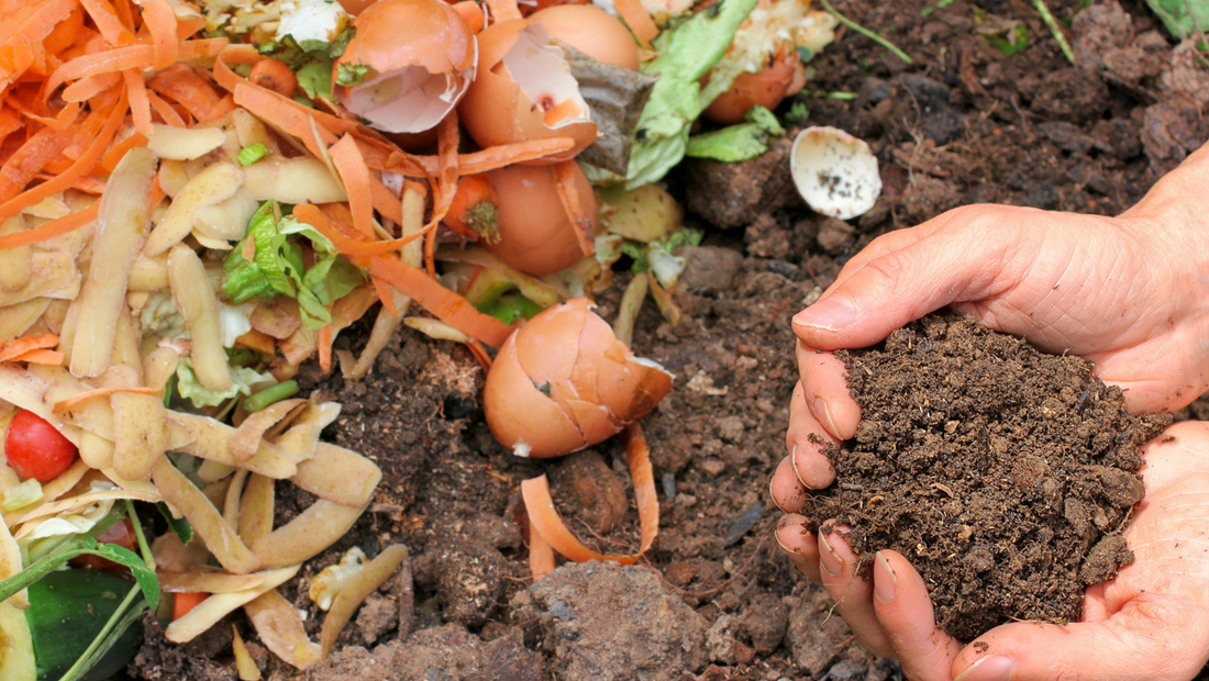 Composting: A Simple Path to Eco-Friendly Living