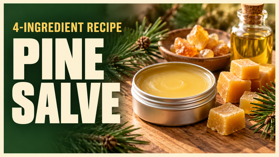 plain open balm tin with pine resin beeswax cubes oil and pine sprigs