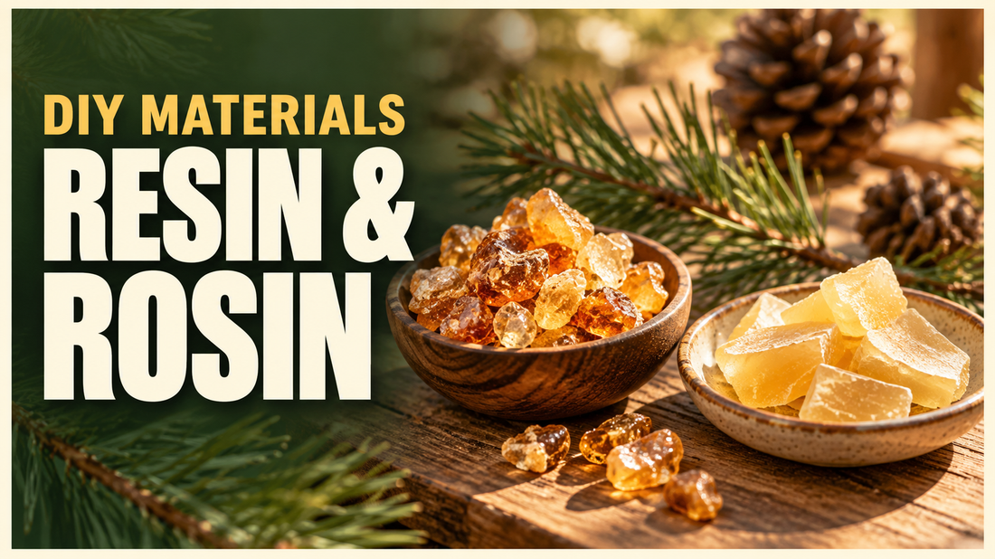 amber pine resin and refined rosin on small dishes beside pine sprigs