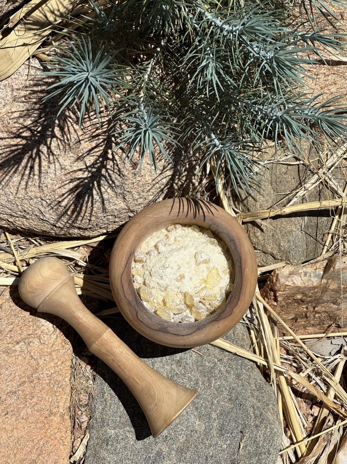 Pine Rosin for DIY Beeswax Wraps